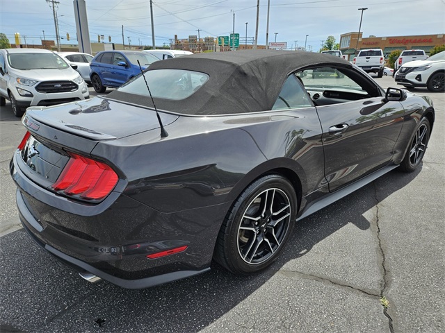 2023 Ford Mustang EcoBoost Premium photo 7