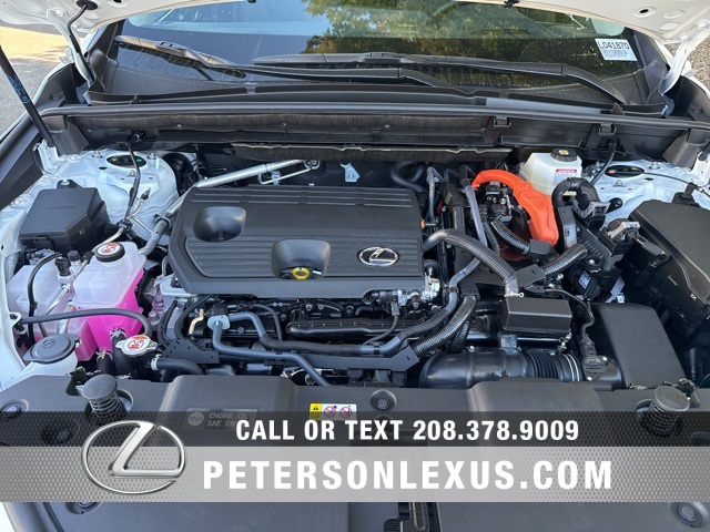 2026 Lexus NX 350h Luxury AWD photo 8