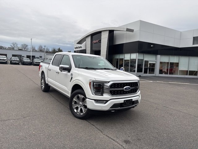 2021 Ford F-150 Platinum's photo
