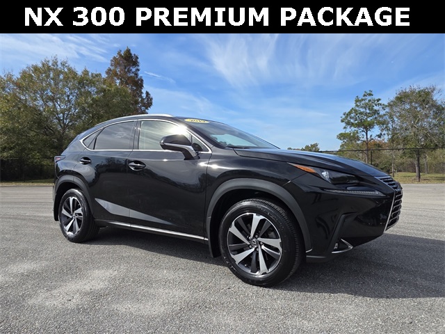 2019 Lexus NX 300's photo