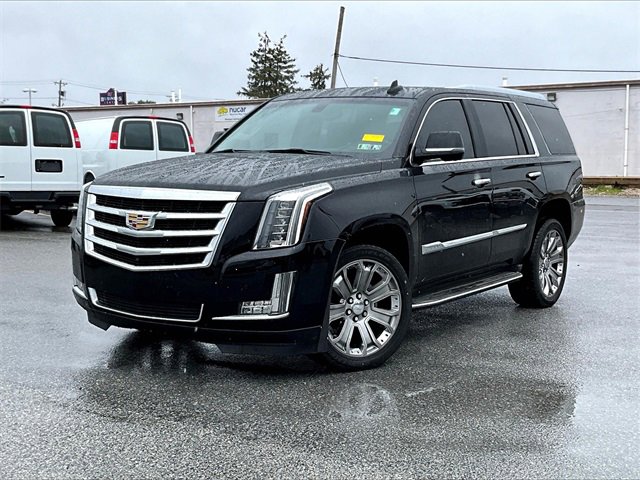 2016 Cadillac Escalade Standard photo 2