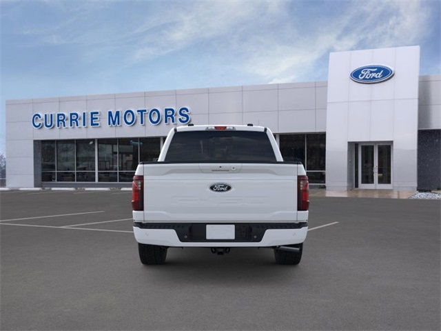 2025 FORD F-150 - Image 27