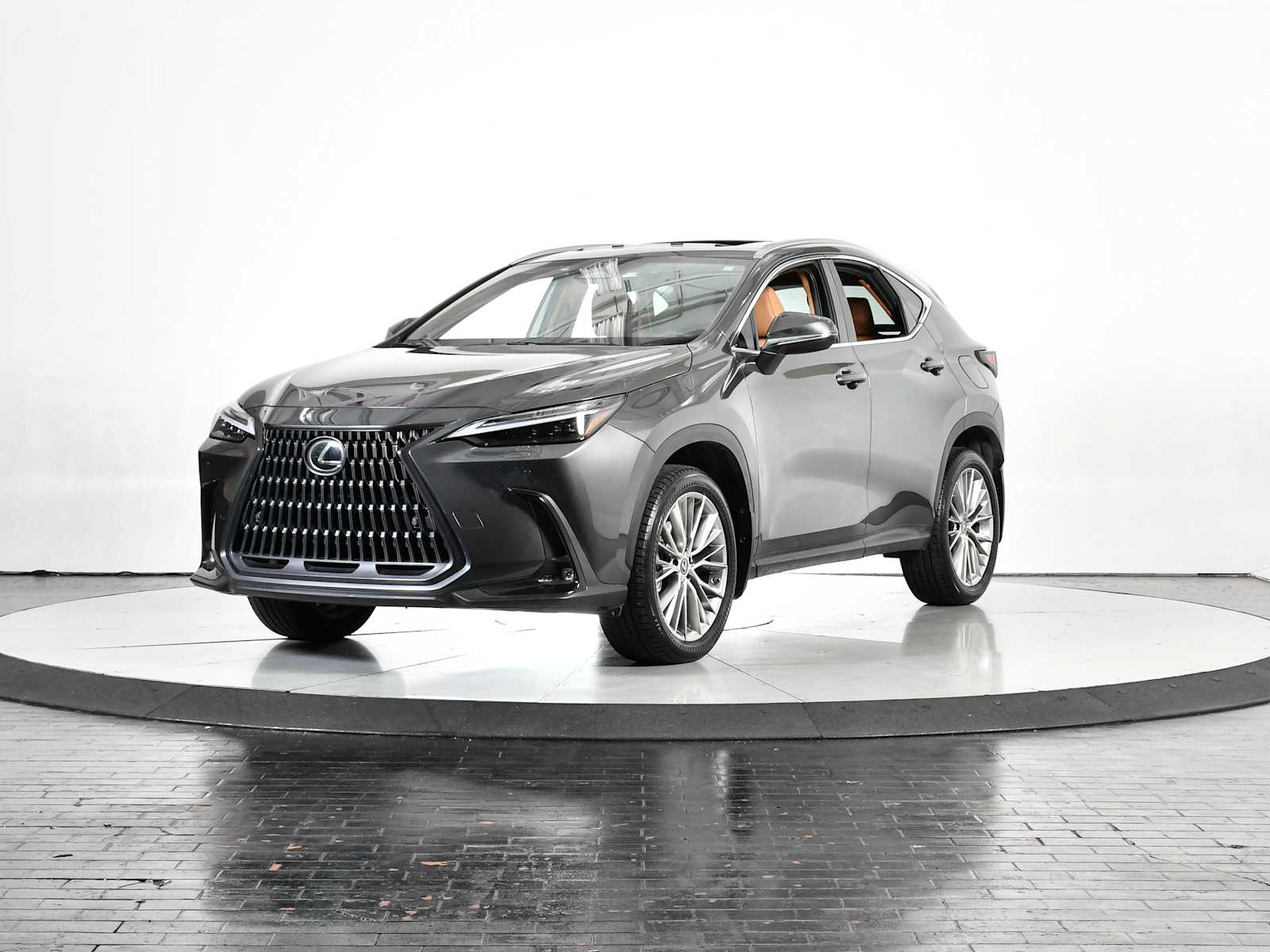 2023 Lexus NX 350's photo