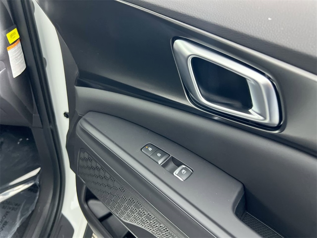 2026 Kia Carnival SX Prestige photo 30