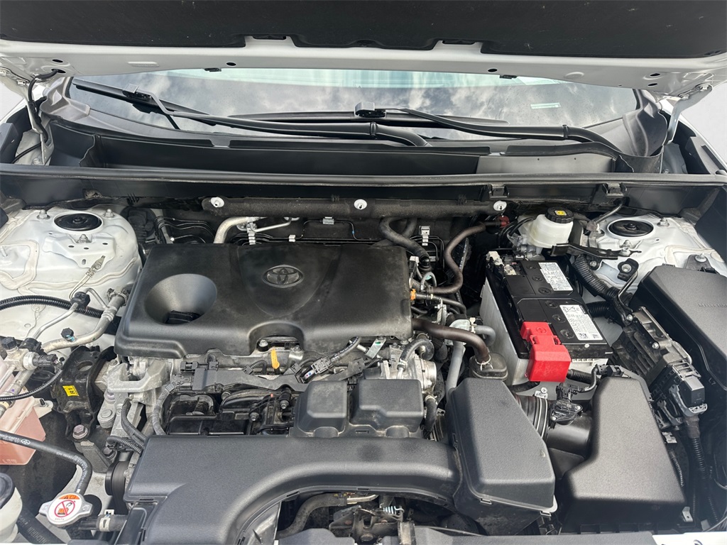 2024 Toyota RAV4 LE photo 14