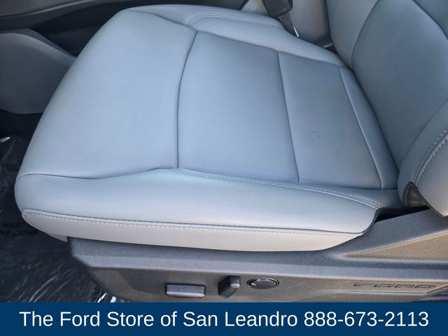 2025 Ford F-150 Lightning photo 16