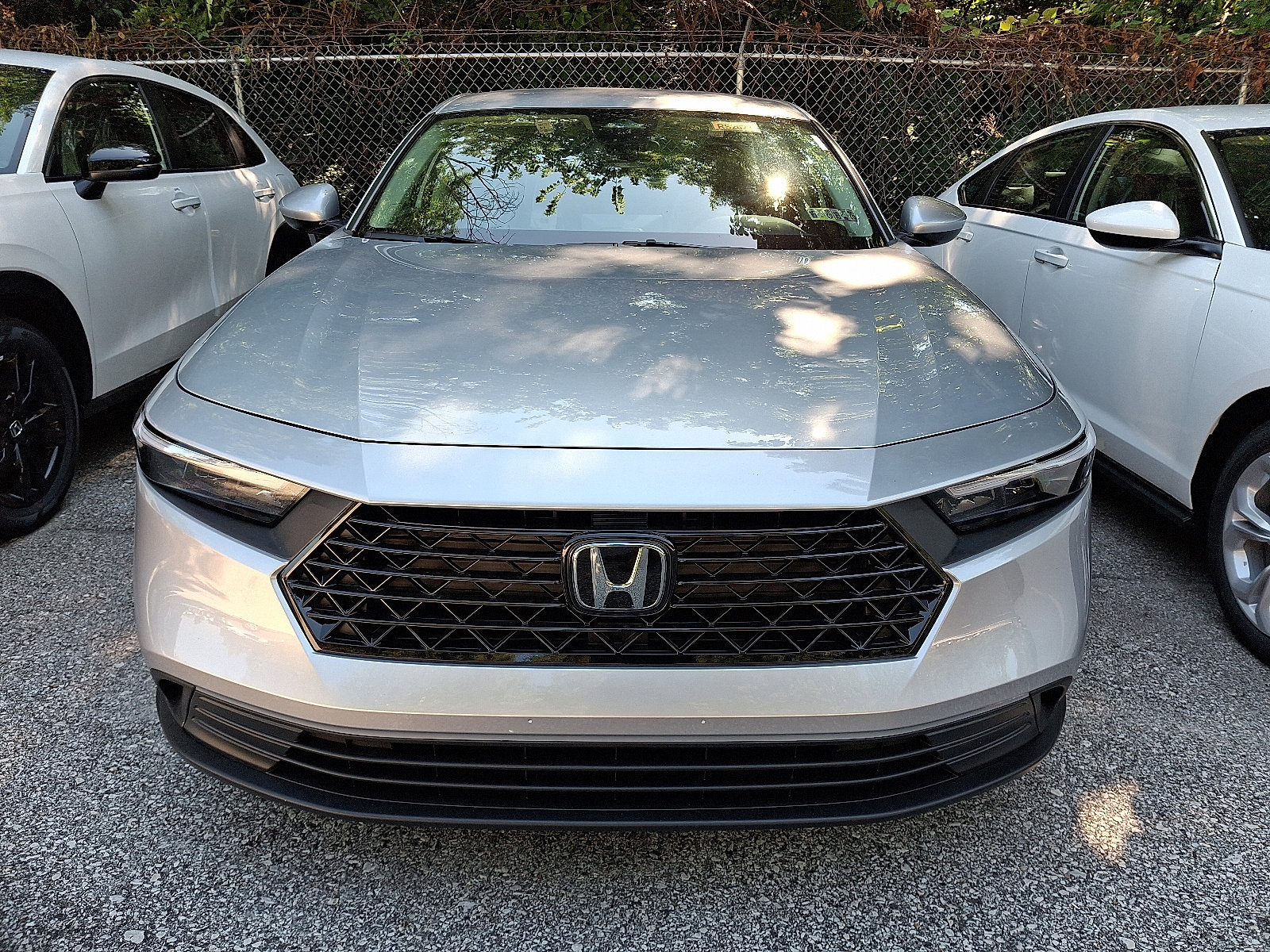 2025 Honda Accord 1.5T LX photo 2