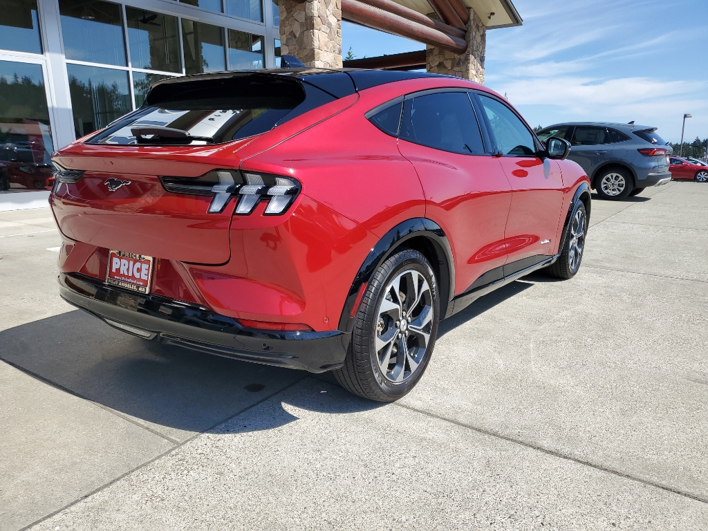 2021 Ford Mustang Mach-E Premium photo 8