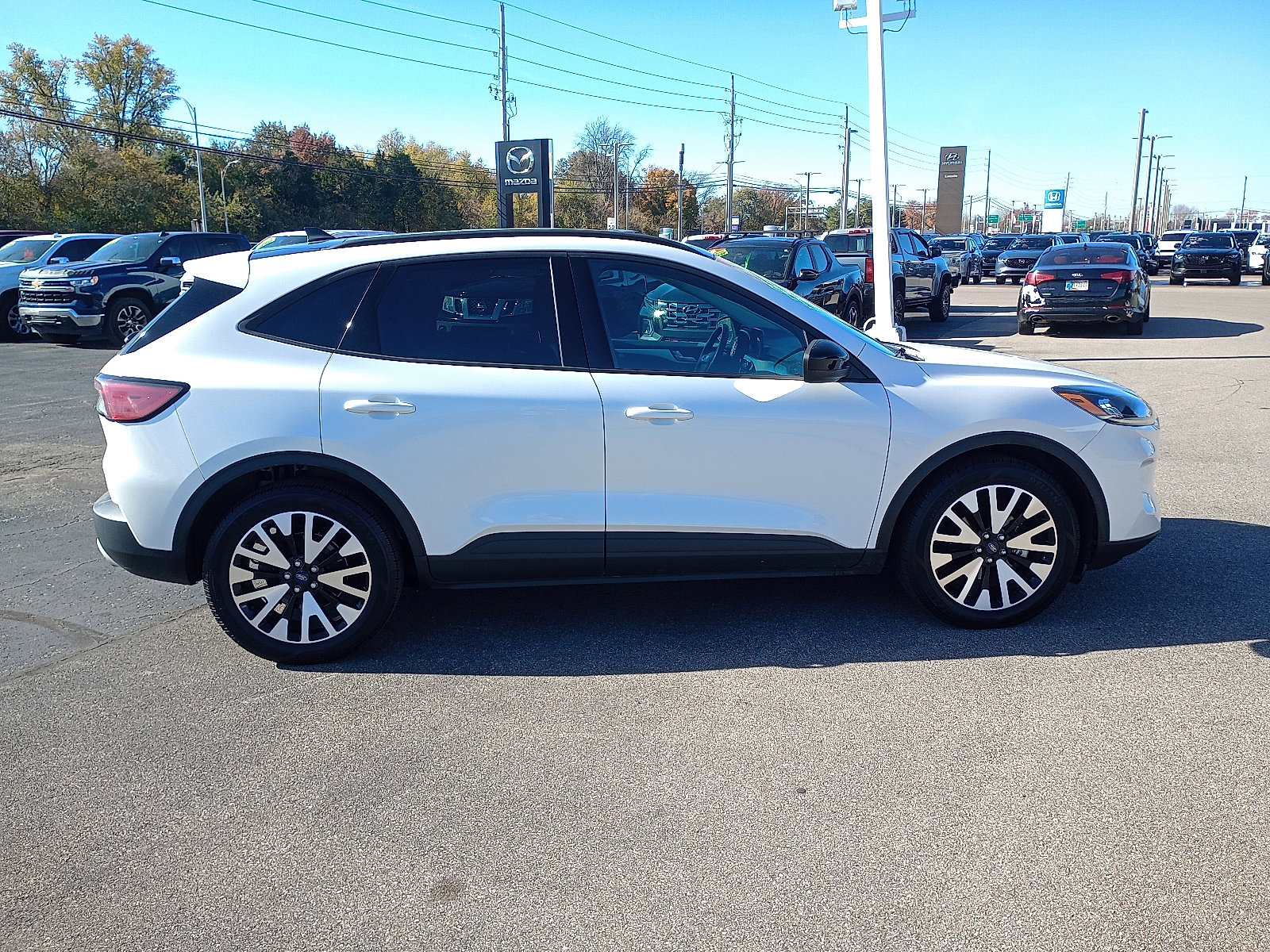 2020 Ford Escape SE Sport Hybrid photo 2