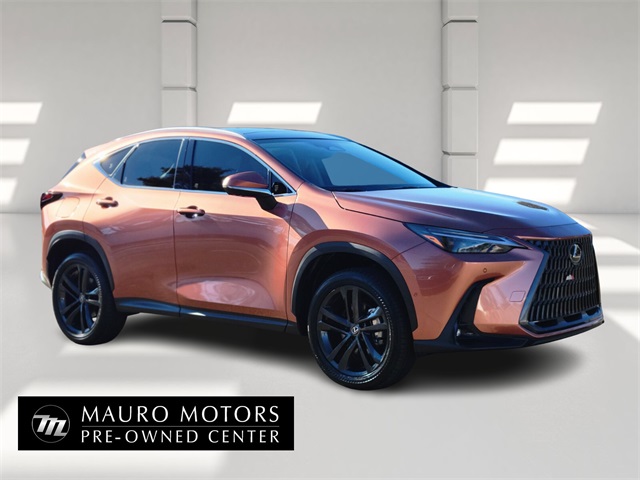 2025 Lexus NX S's photo