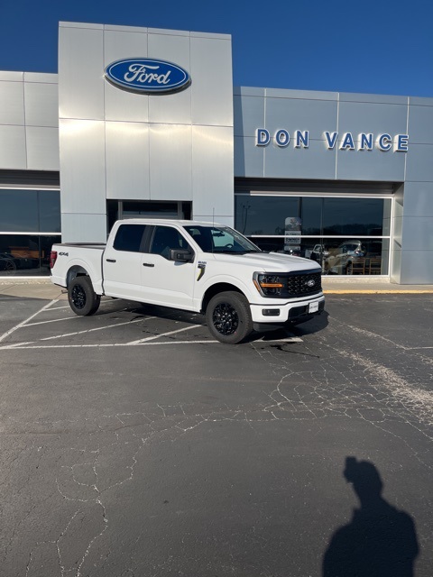 2025 Ford F-150 STX's photo