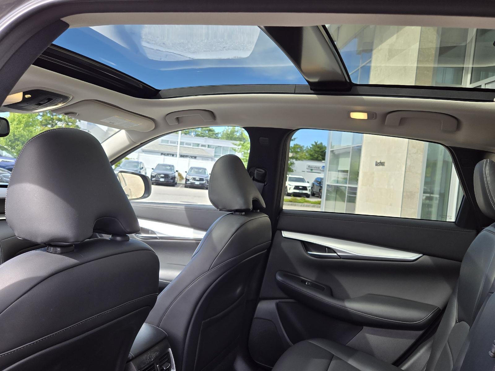 2021 Infiniti QX50 Luxe photo 11