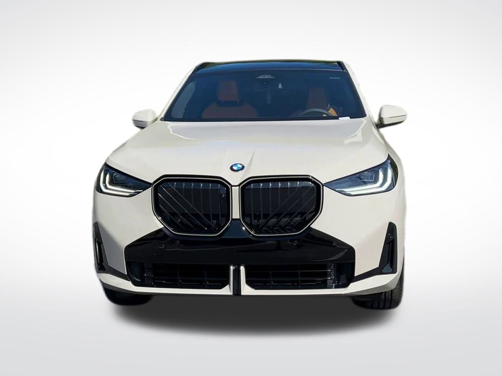 2025 Bmw X3 30x Drive photo 3