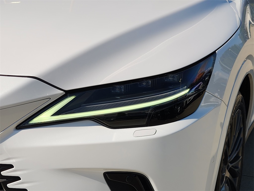 2023 Lexus RX 350 Luxury photo 9
