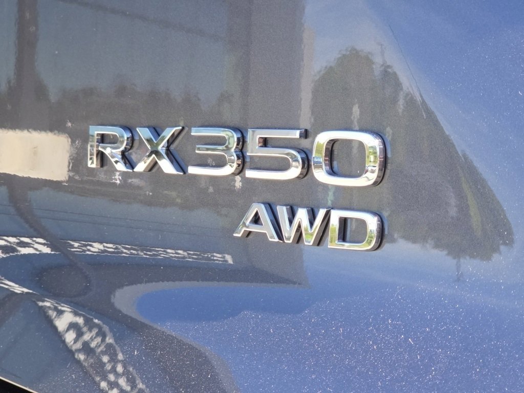 2025 Lexus RX 350 Luxury photo 4