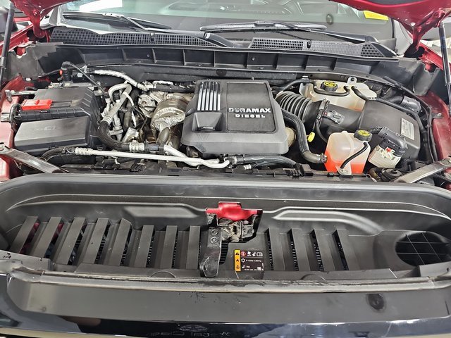 2021 Gmc Sierra 1500 AT4 photo 28