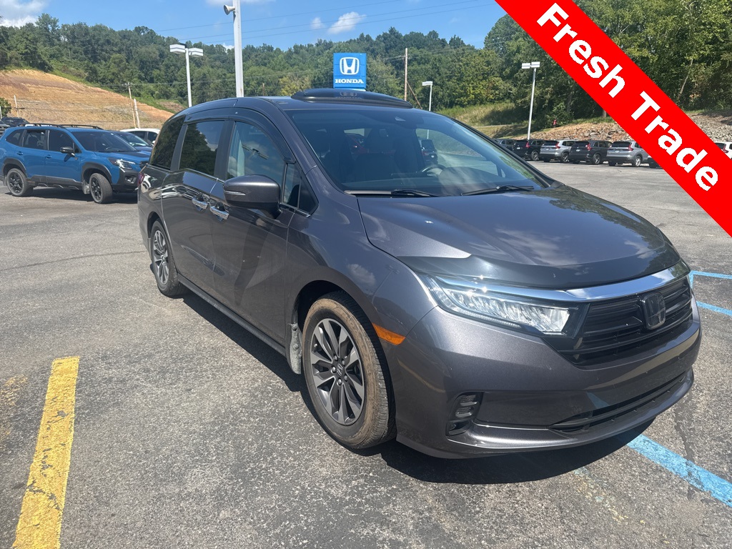 2024 Honda Odyssey EX-L photo 3