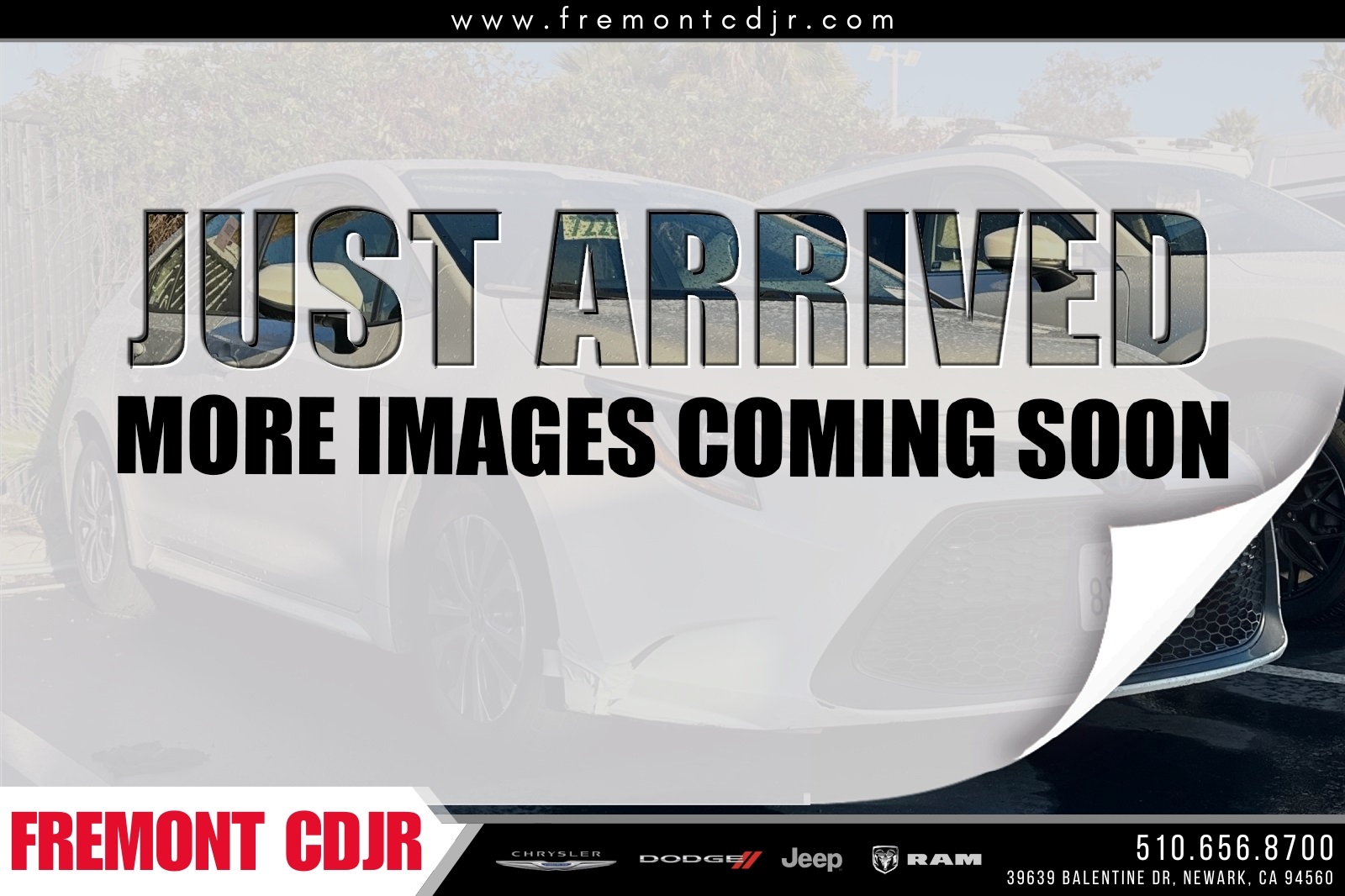 2020 Toyota Corolla LE's photo