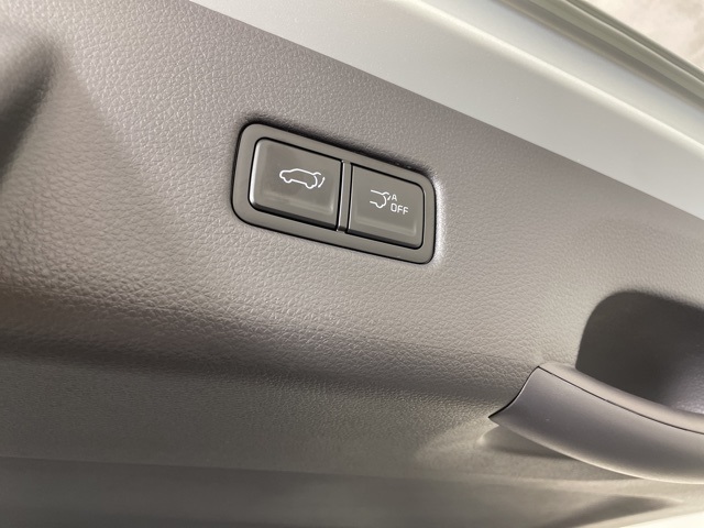 2026 Kia Carnival EX photo 38