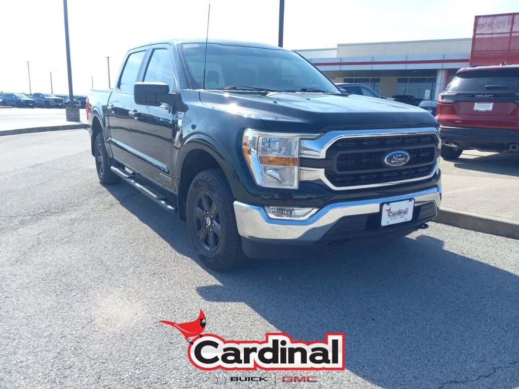 2022 Ford F-150 XLT's photo