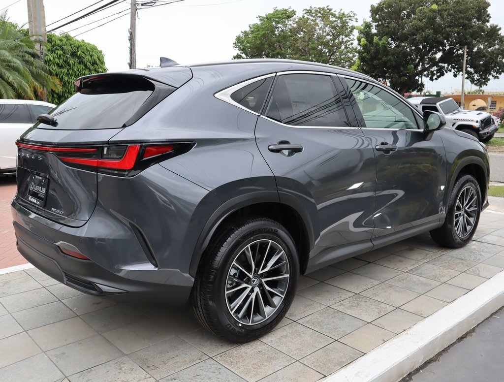 2025 Lexus NX 250 Premium photo 5