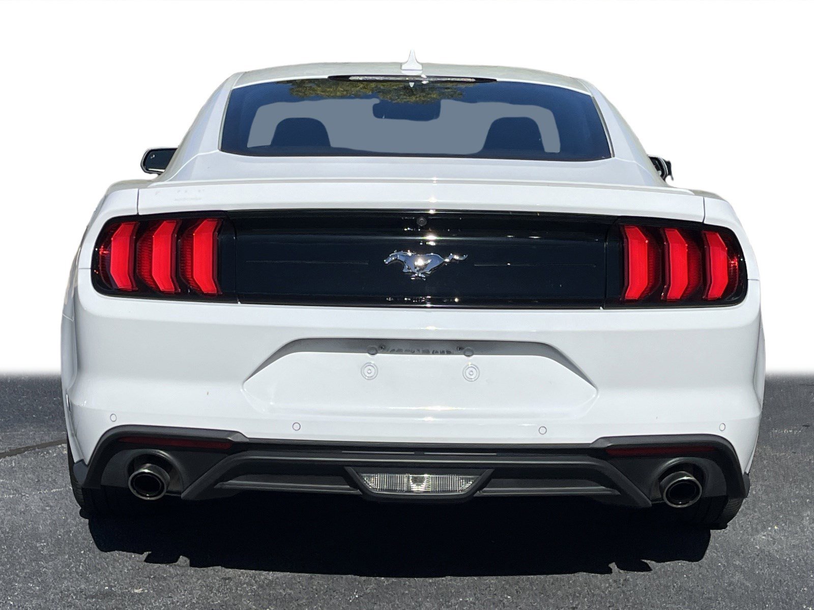 2023 Ford Mustang EcoBoost Premium photo 9