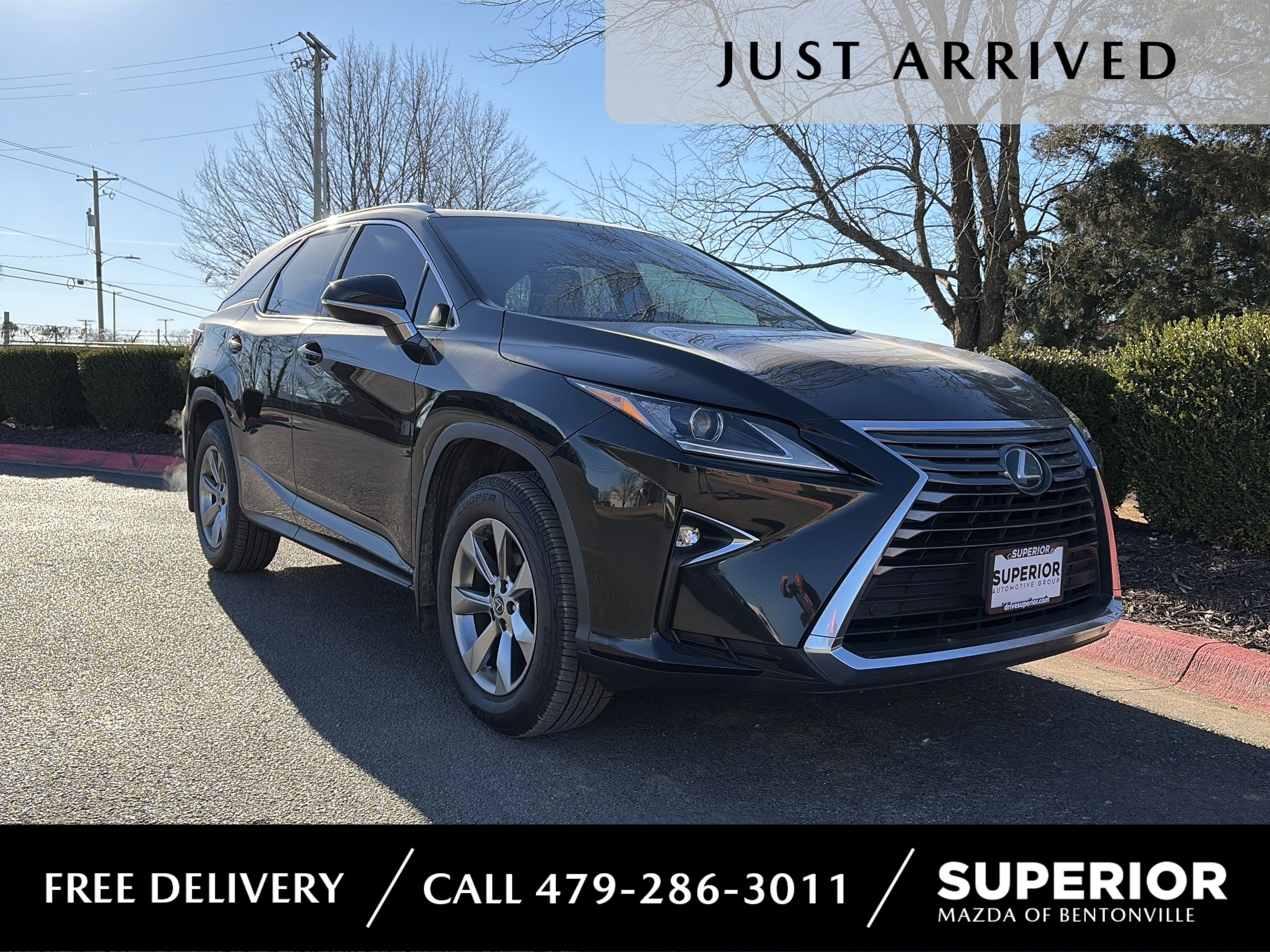 2019 Lexus RX LUXURY's photo