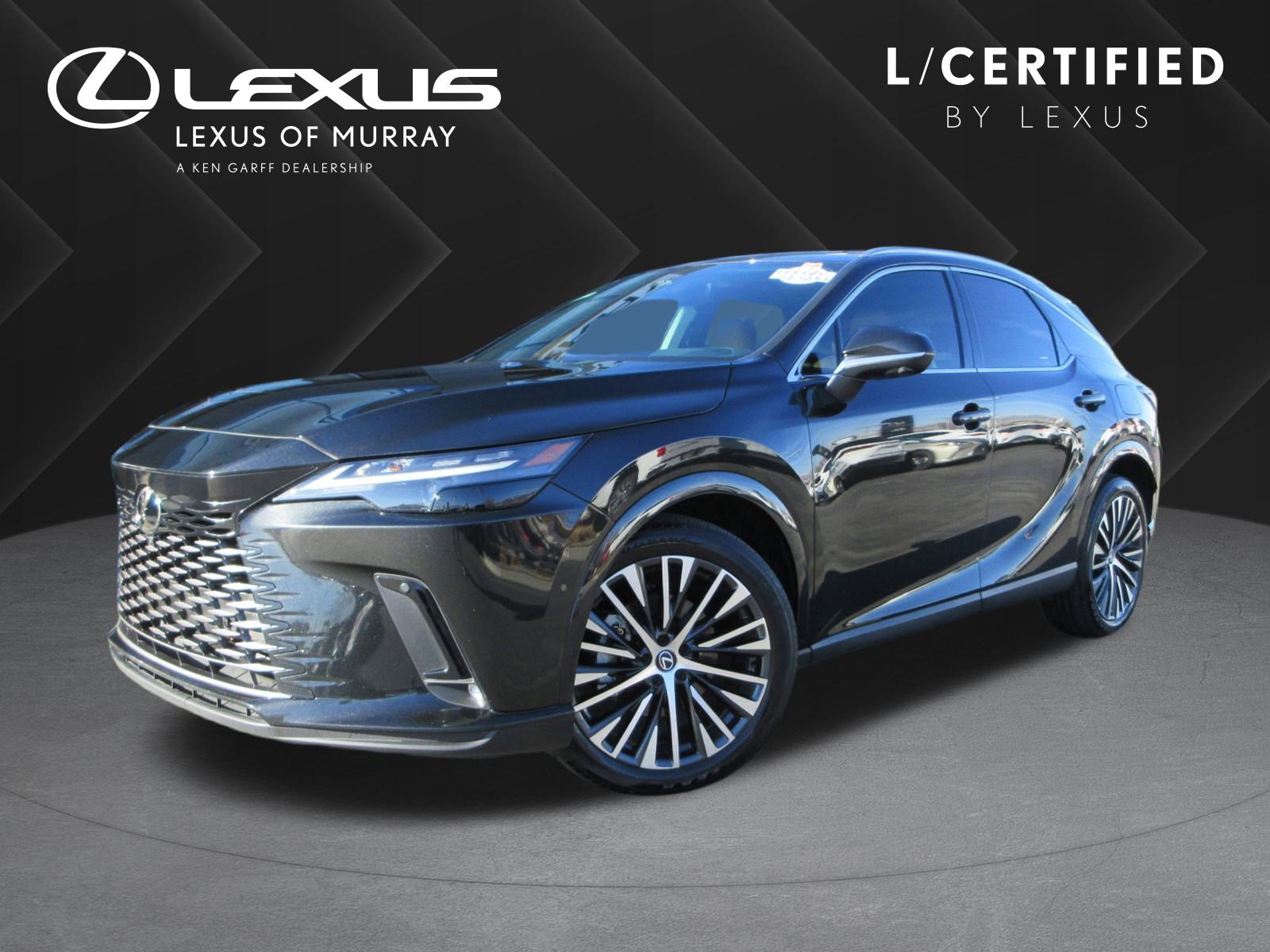 2024 Lexus RX 350's photo