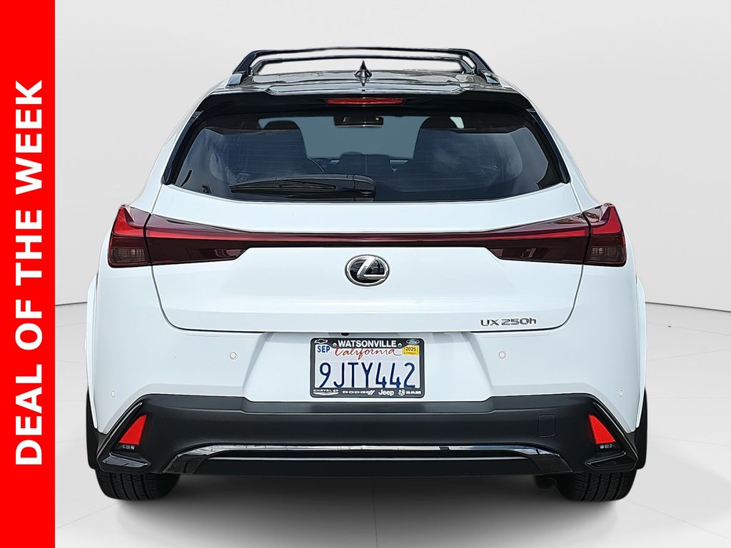 2024 Lexus UX 250h F SPORT Design photo 4