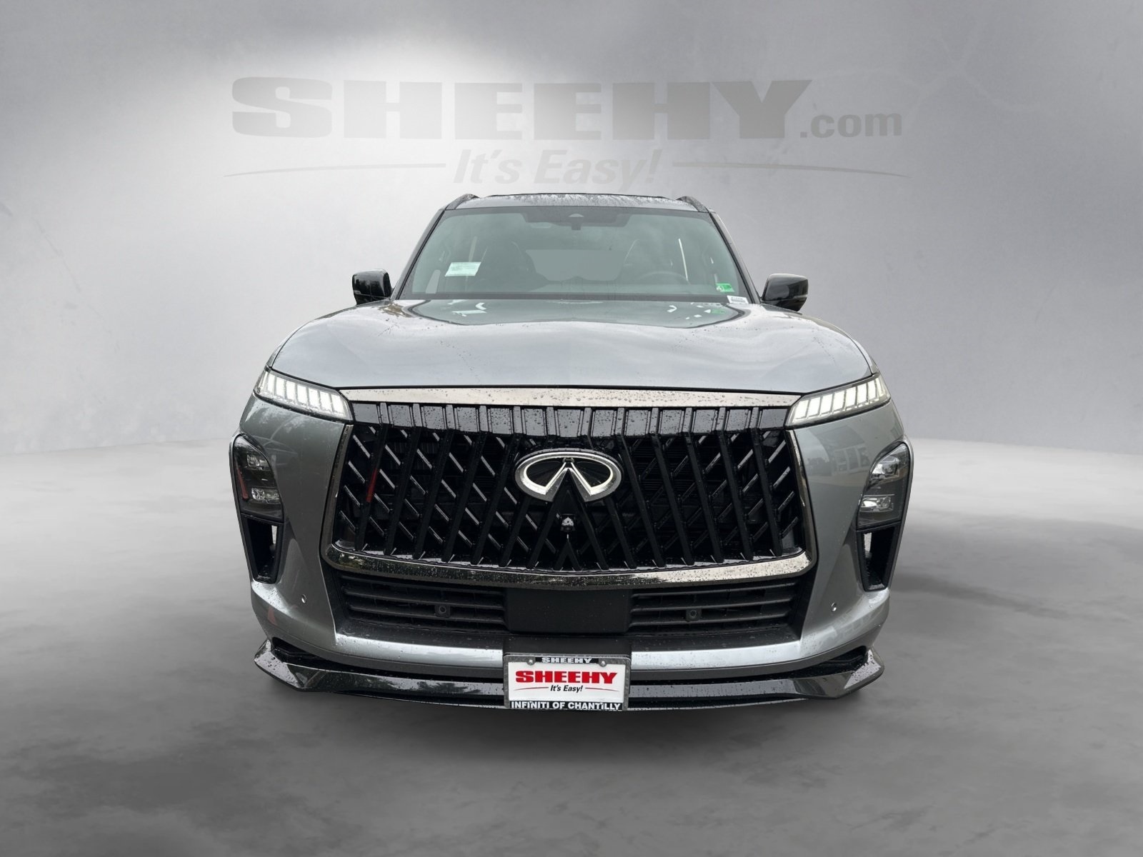 2026 Infiniti QX80 Sensory photo 2