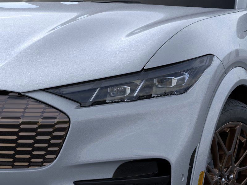 2025 Ford Mustang Mach-E GT photo 14