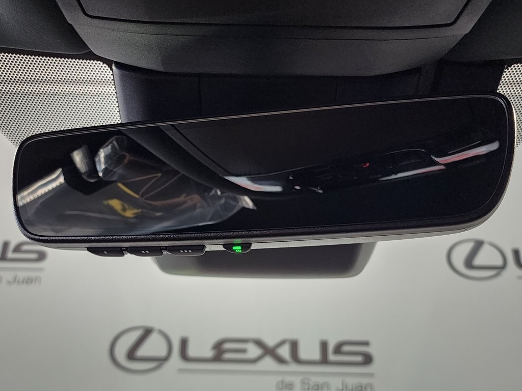 2025 Lexus RX 350 photo 18