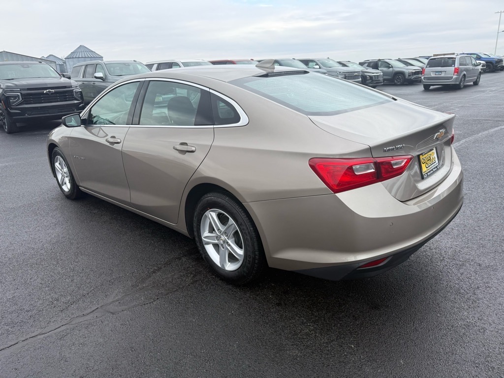 2024 Chevrolet Malibu 1LT photo 3