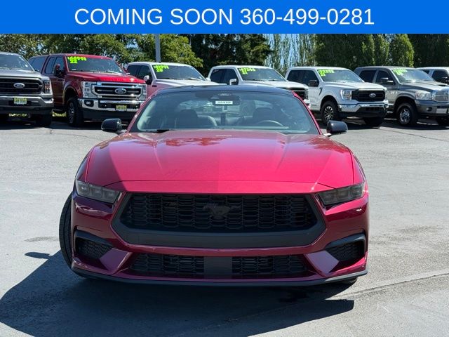 2025 Ford Mustang EcoBoost Premium photo 2