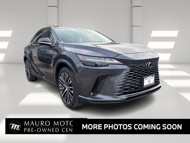 2024 Lexus RX Hybrid 350h's photo