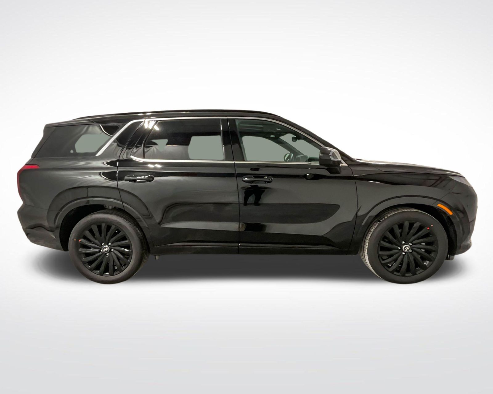 2025 Hyundai Palisade Calligraphy photo 2