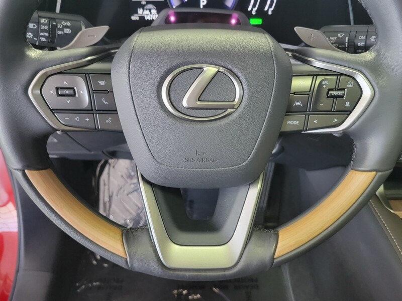 2024 Lexus RX 350h AWD photo 17