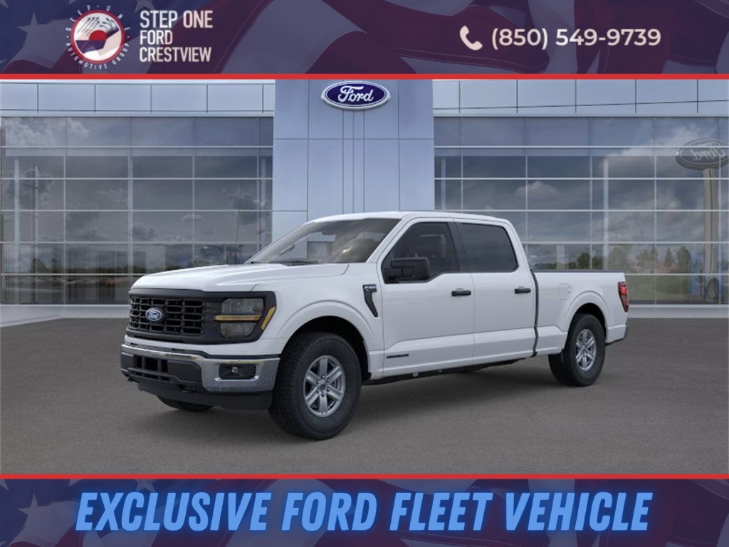 2025 Ford F-150 XL's photo