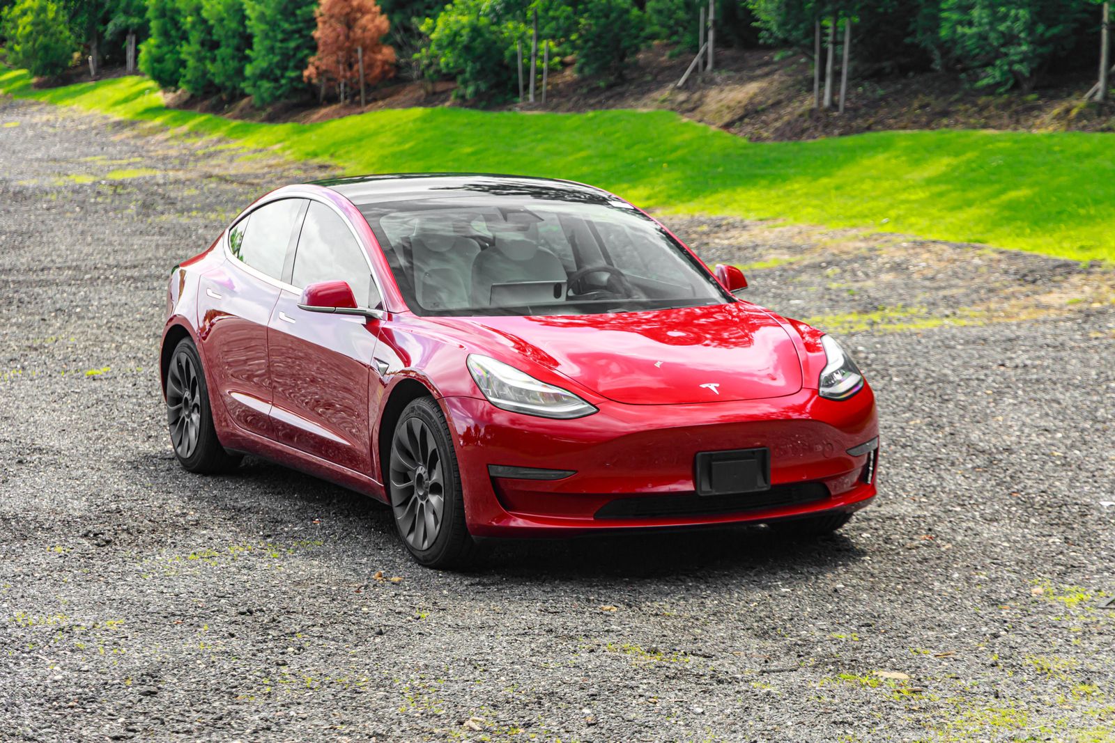2019 Tesla Model 3 photo 12