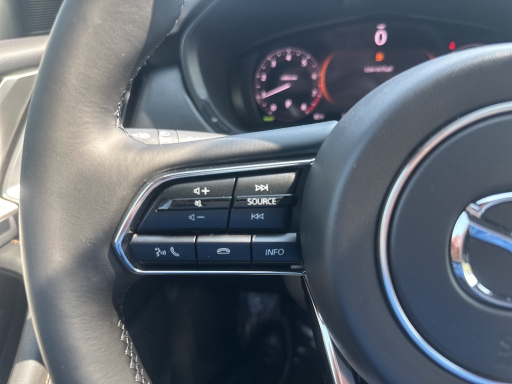 2025 Mazda CX-90 3.3 Turbo Premium Plus photo 15