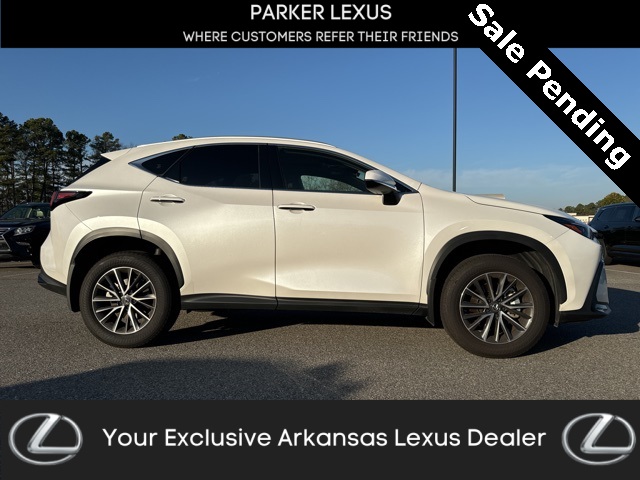 2024 Lexus NX 250's photo