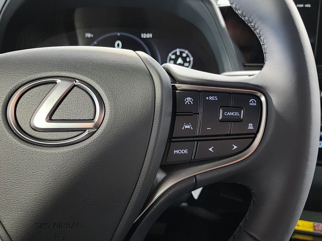 2025 Lexus UX photo 17