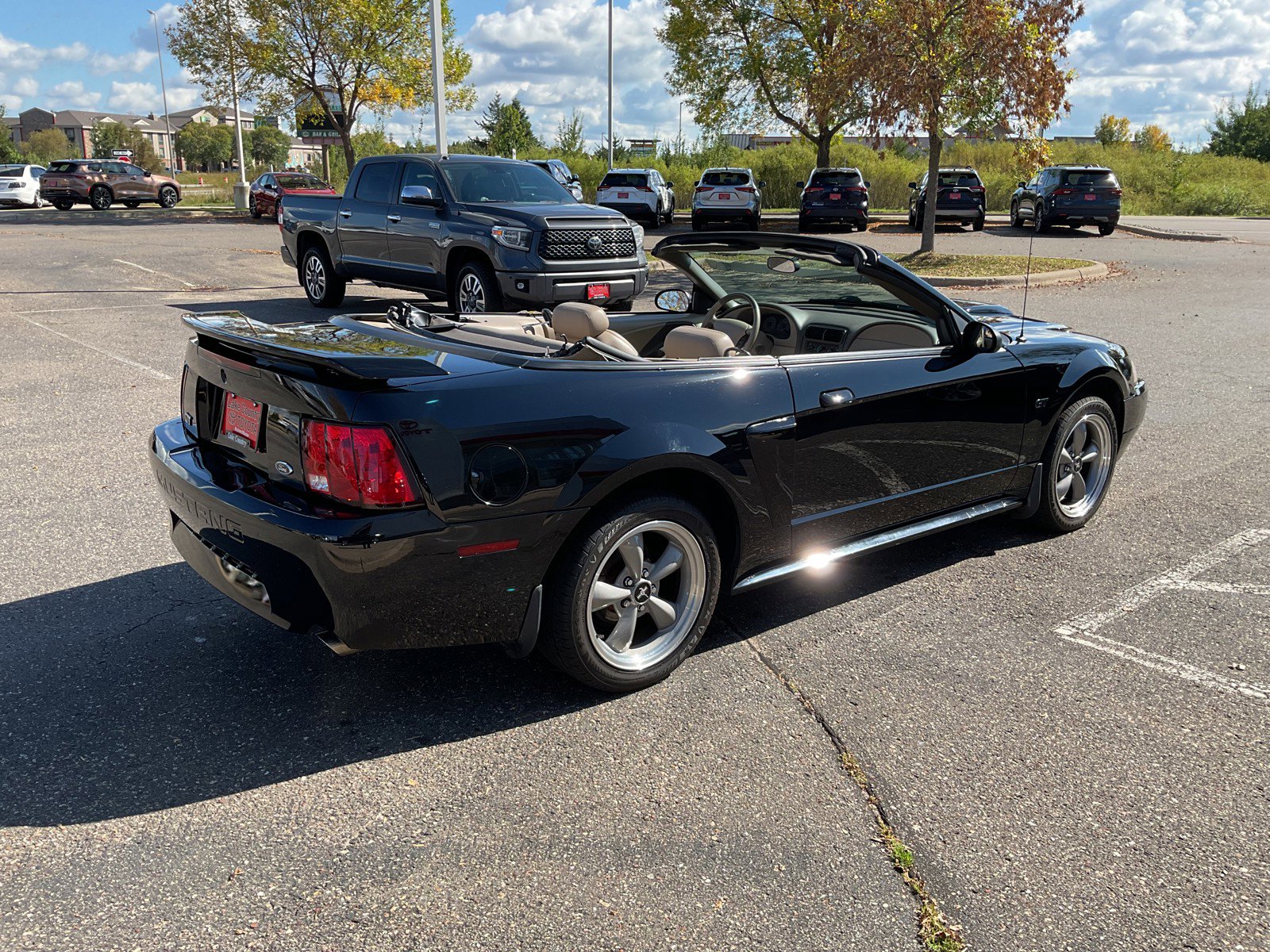 2002 Ford Mustang GT photo 11