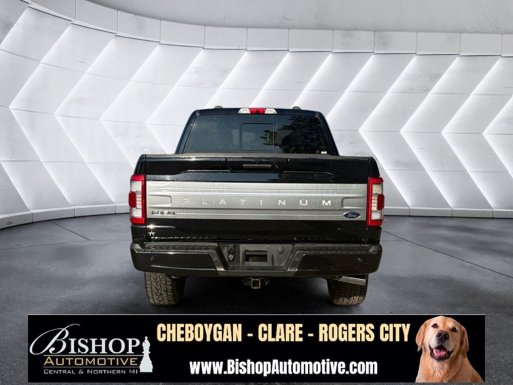 2021 Ford F-150 Platinum photo 9