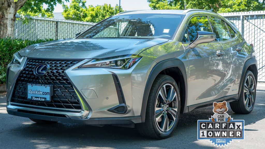 2021 Lexus UX 250h photo 3