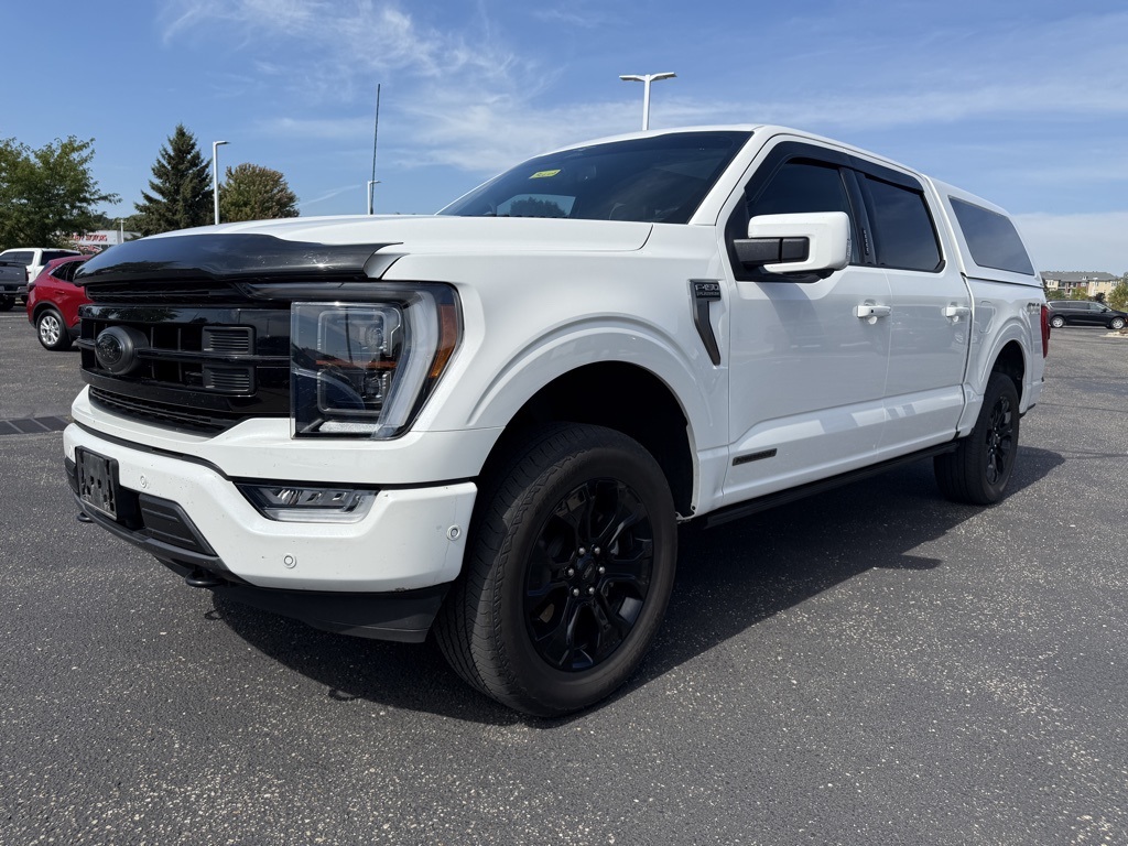 2023 Ford F-150 Platinum photo 11
