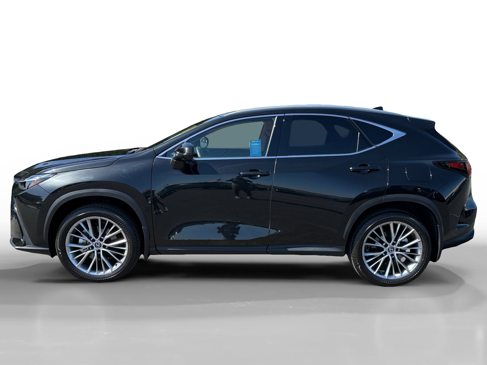 2025 Lexus NX 350 Luxury photo 2