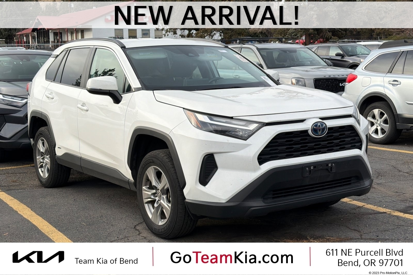 2024 Toyota RAV4 XLE's photo