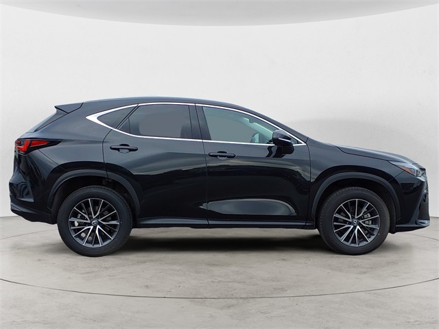 2024 Lexus NX 350h Premium photo 6