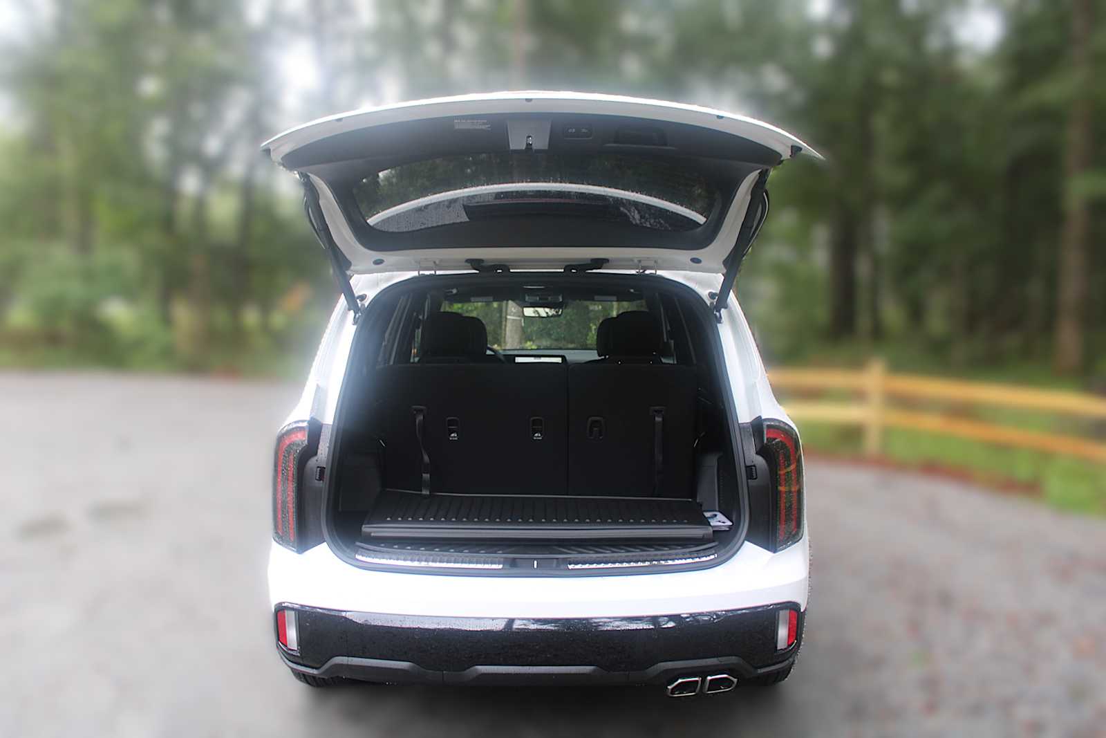 2025 Kia Telluride SX Prestige X-Line photo 8